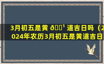 3月初五是黄 🌹 道吉日吗（2024年农历3月初五是黄道吉日 🐱 吗）